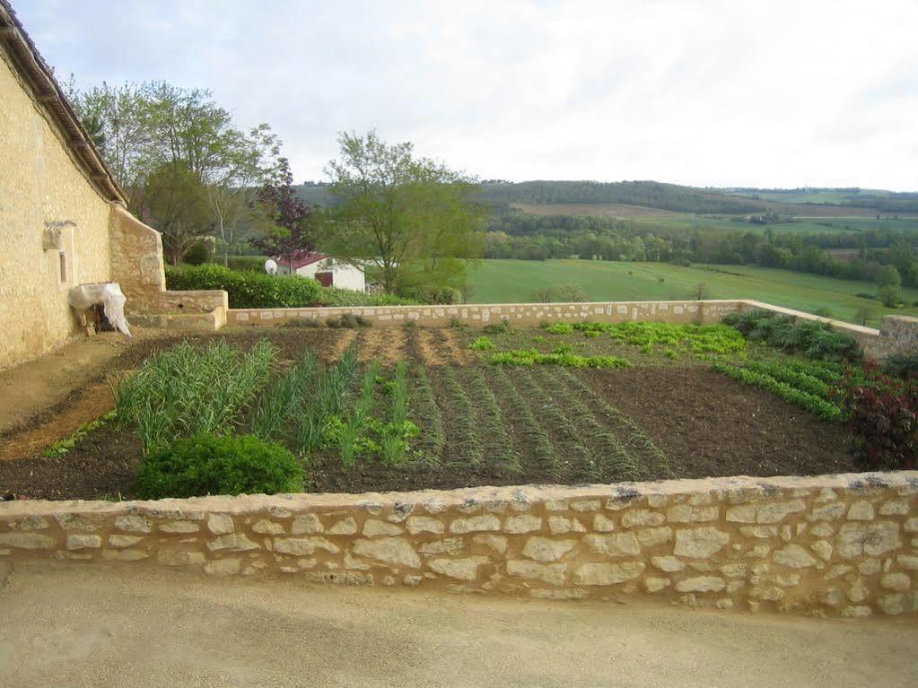 Chambre d'Hôtes Domaine Le Castagné Auch Exterior foto